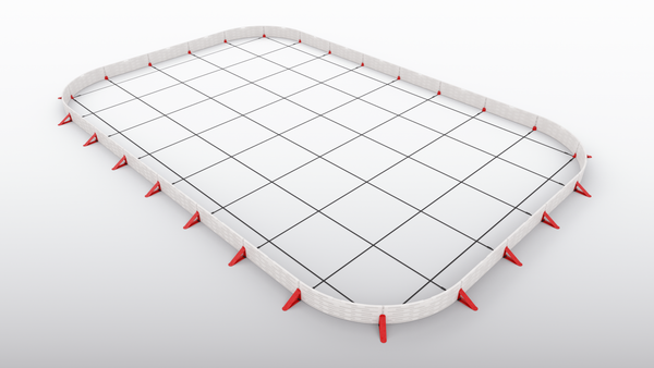 ビリヤード Icelake 2022 Pokemon Astral Radiance Ice Rider CALYREX VMAX TG29